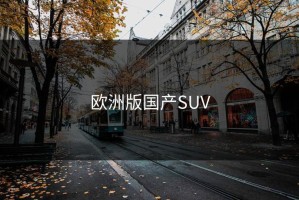欧洲版国产SUV