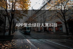 APP聚合绿巨人黑科技