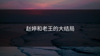 赵婷和老王的大结局