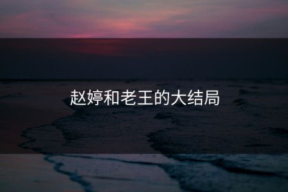赵婷和老王的大结局