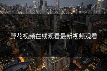 野花视频在线观看最新视频观看