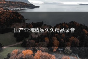 国产亚洲精品久久精品录音