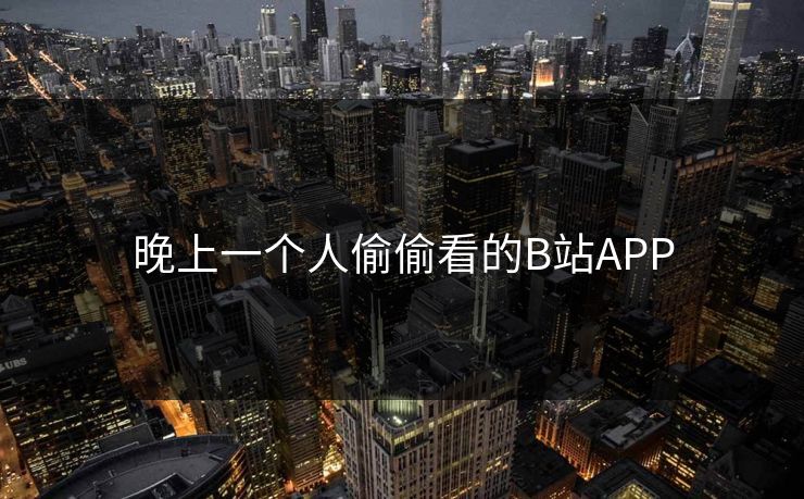 晚上一个人偷偷看的B站APP