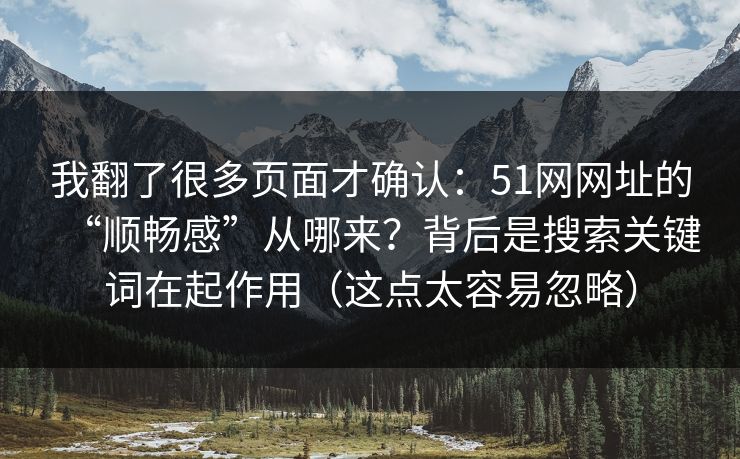 我翻了很多页面才确认：51网网址的“顺畅感”从哪来？背后是搜索关键词在起作用（这点太容易忽略）