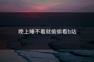 晚上睡不着就偷偷看b站