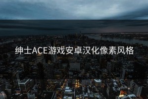 绅士ACE游戏安卓汉化像素风格