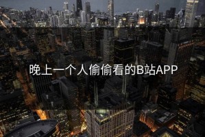 晚上一个人偷偷看的B站APP