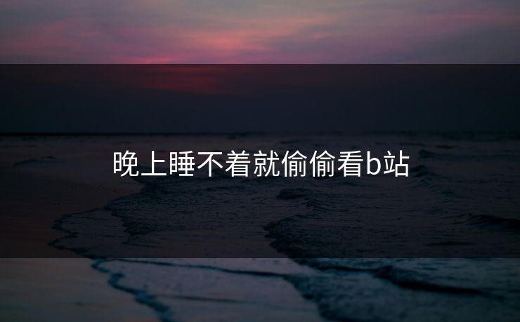 晚上睡不着就偷偷看b站 晚上睡不着就偷偷看b站